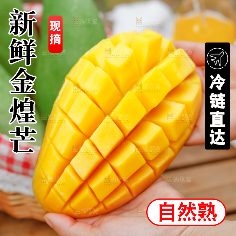 深底上的金煌芒