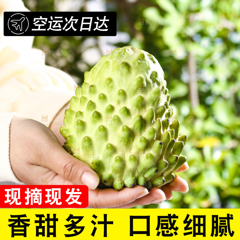 深底上的释迦果