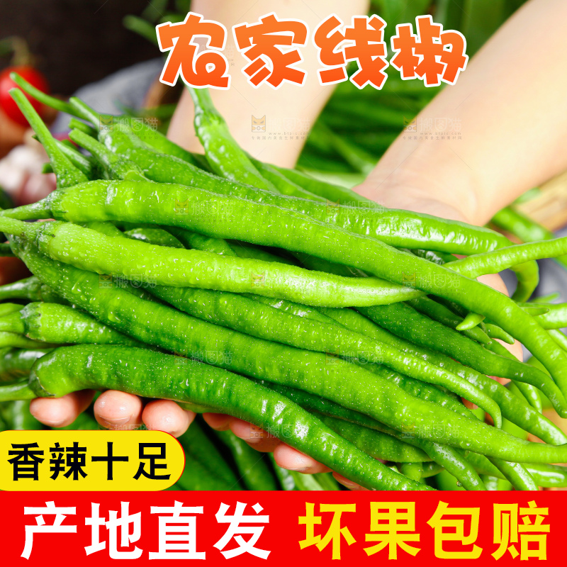 深底上的二荆条辣椒