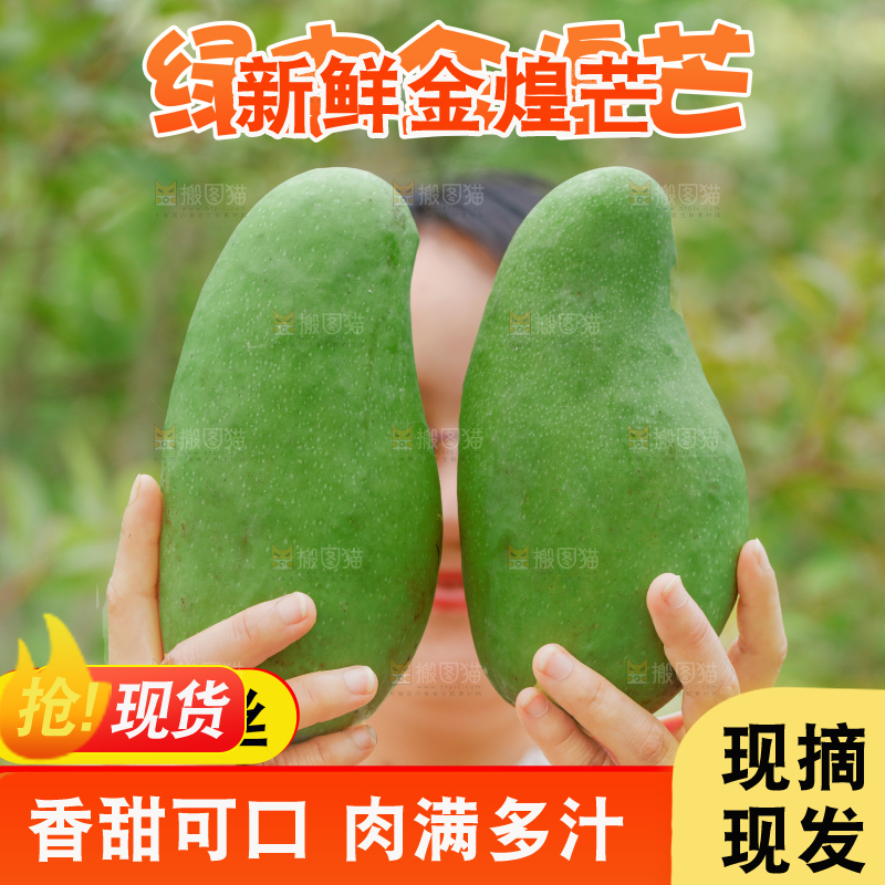 绿皮金煌芒主图