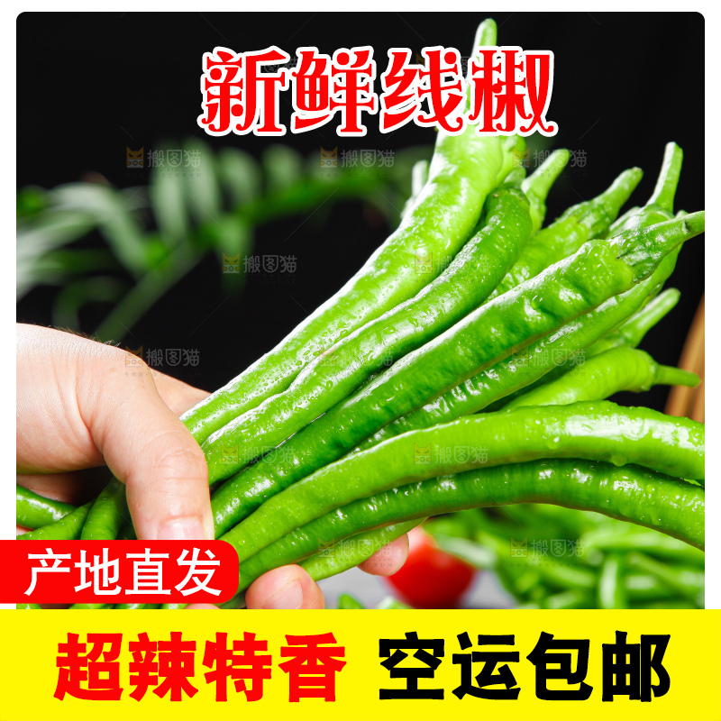深底上的二荆条辣椒