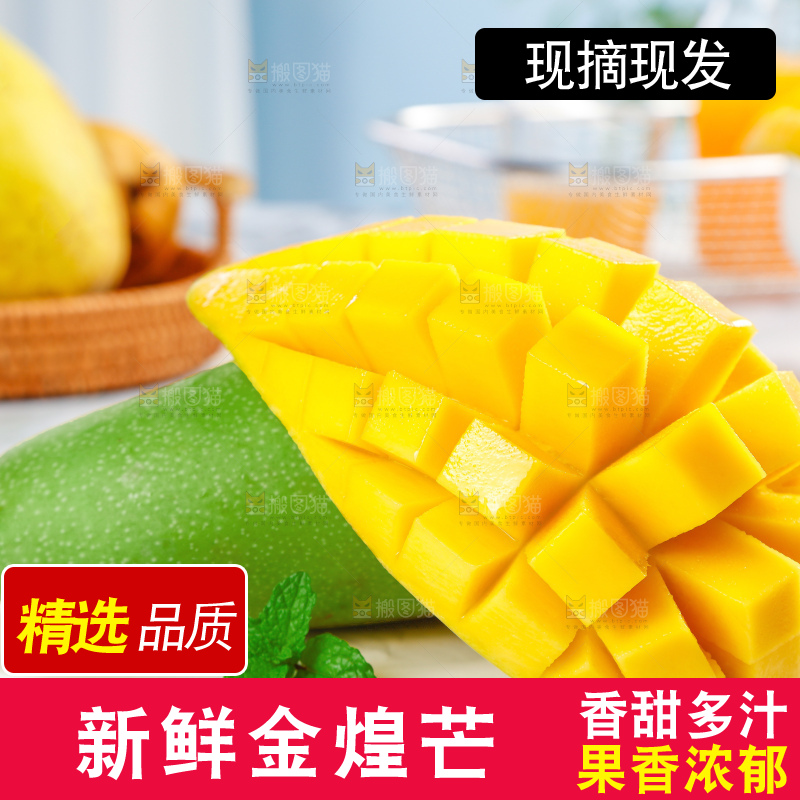 浅底上的绿皮金煌芒