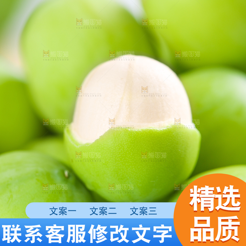 浅底上的莲子