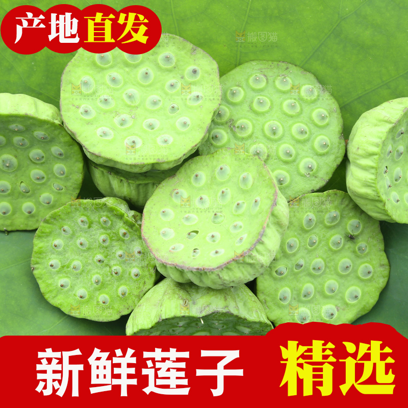 手里拿着新鲜莲蓬