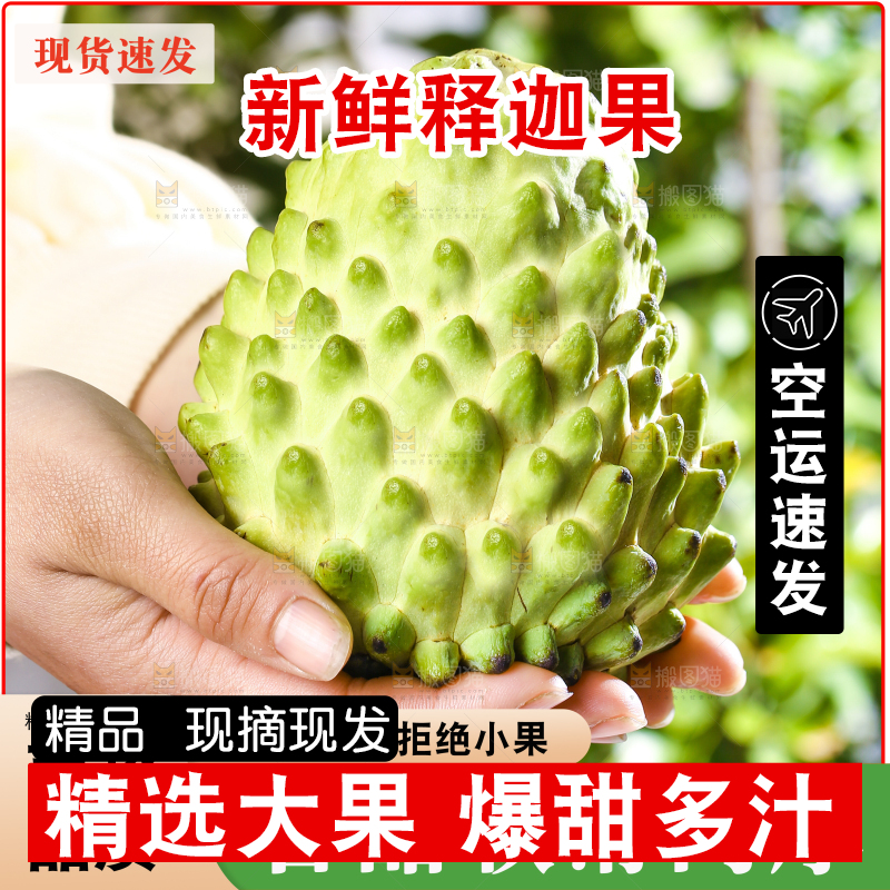 释迦果主图