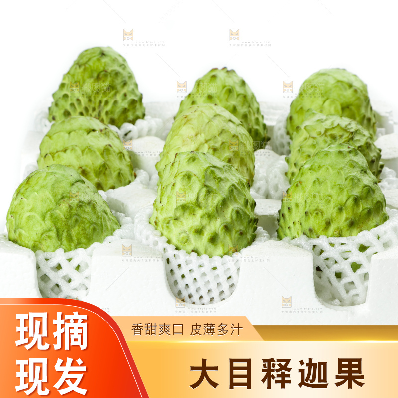浅底上的释迦果
