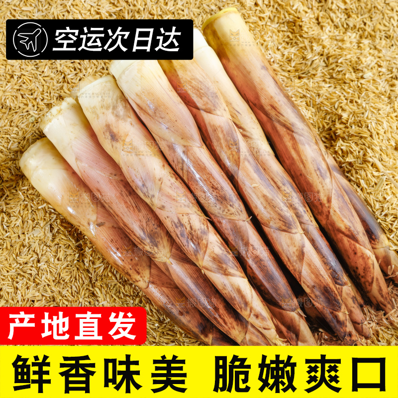 谷堆上的春雷笋