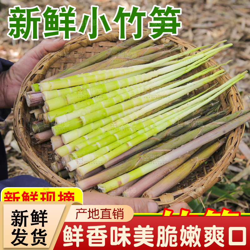 小竹笋主图