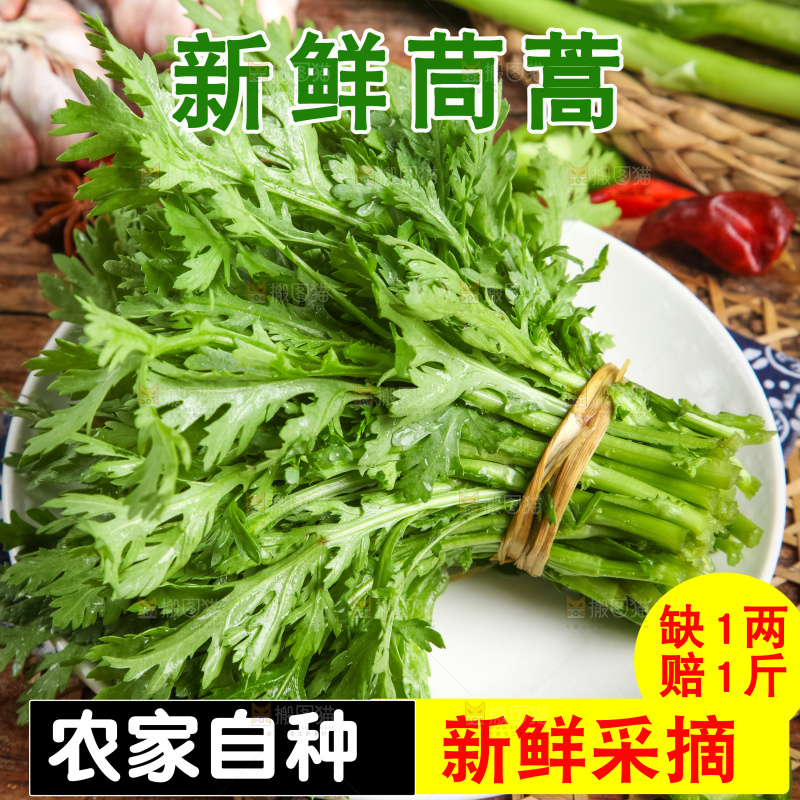 茼蒿主图