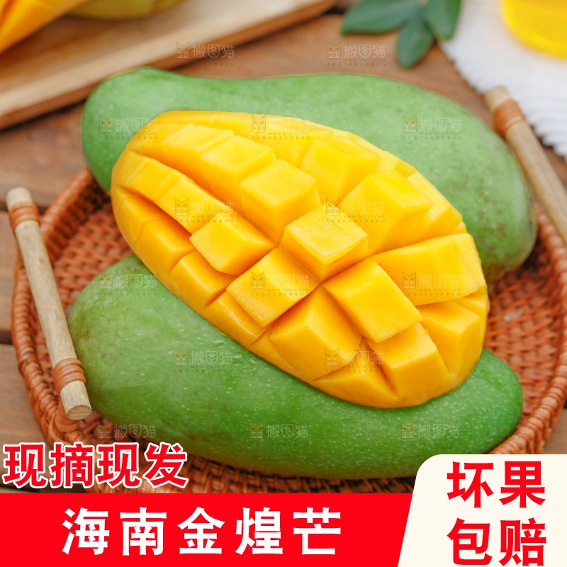深底上的金煌芒