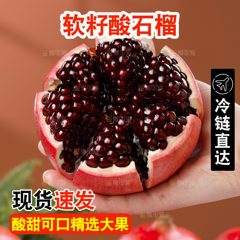 浅底上的黒籽酸石榴