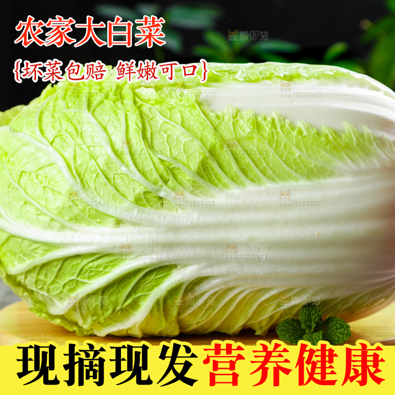 深底上的大白菜