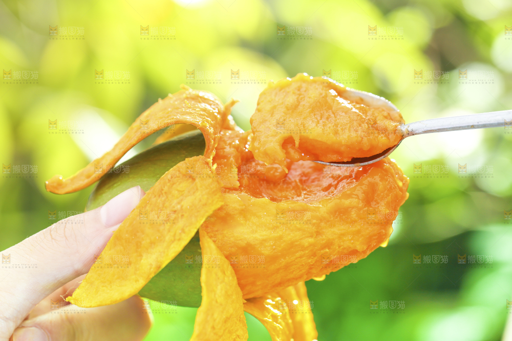 椰香芒