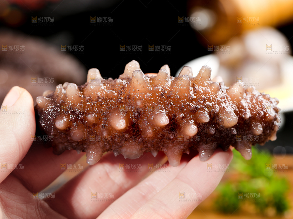 深底上的海参