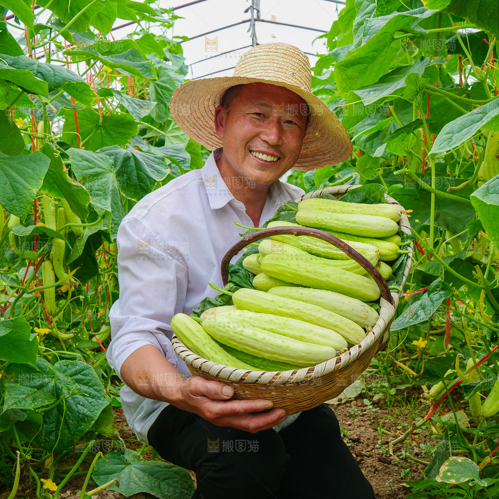 手里拿着白玉黄瓜