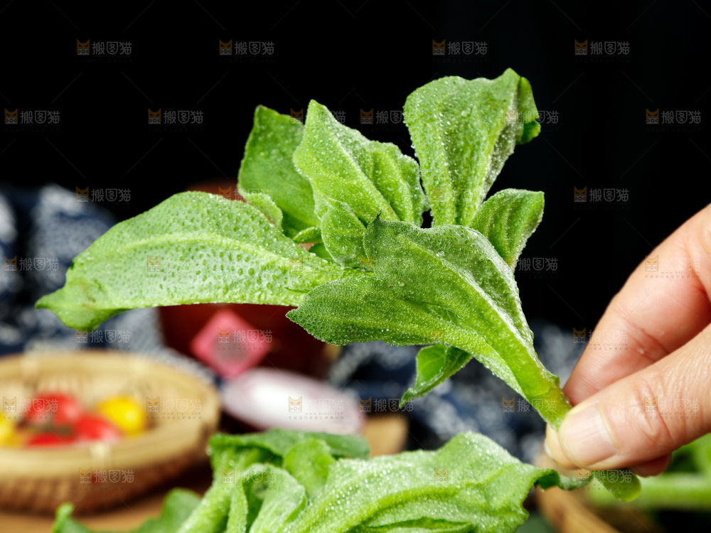 深底上的冰草