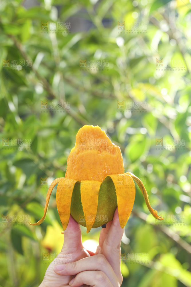 深底上的椰香芒