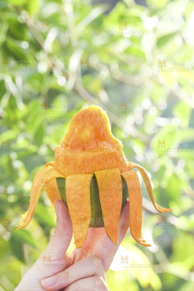 深底上的椰香芒