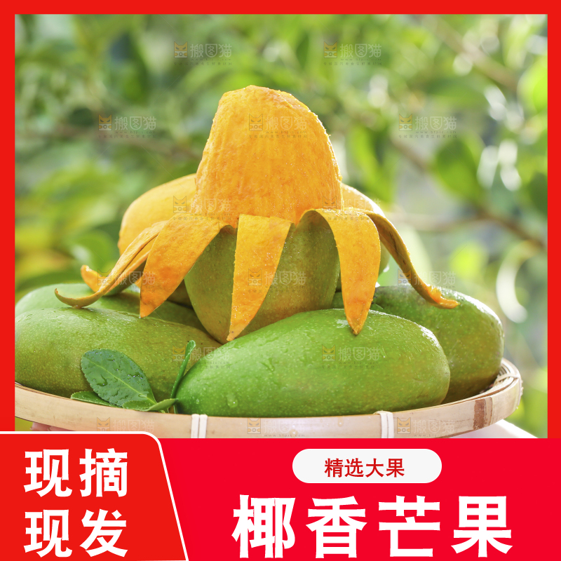 深底上的椰香芒