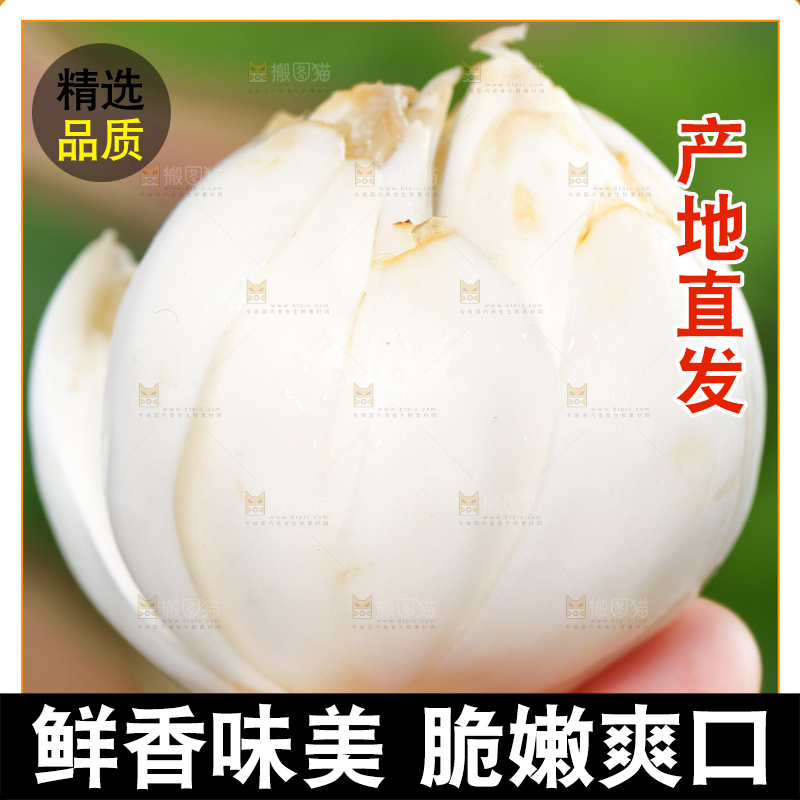 深底上的新鲜百合