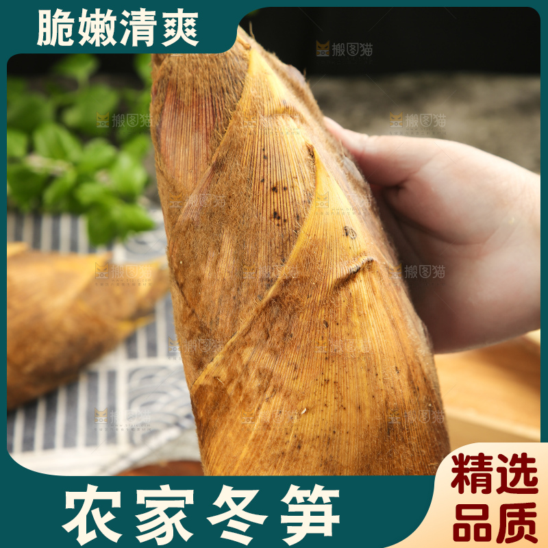 深底上的新鲜冬笋