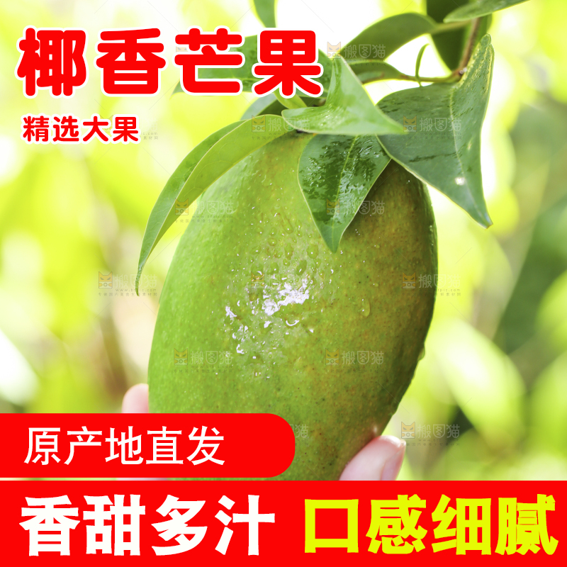 深底上的椰香芒