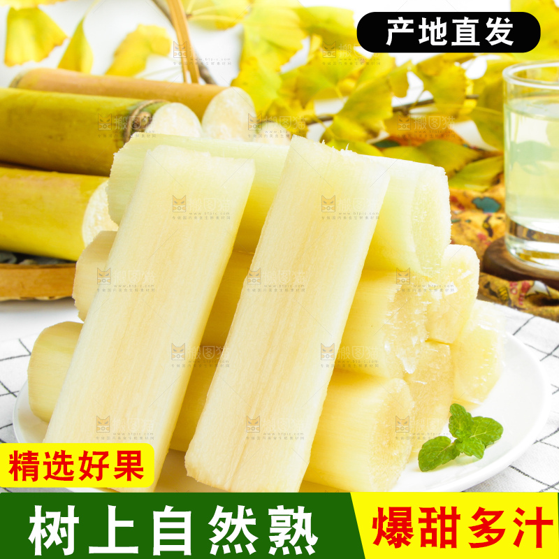 浅底上的黑皮甘蔗