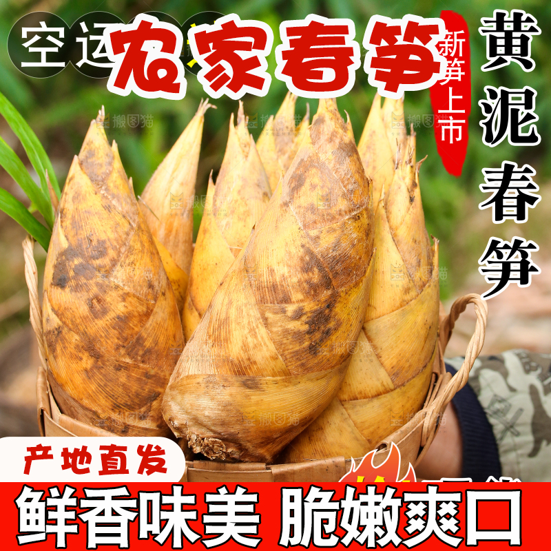 黄泥春笋主图