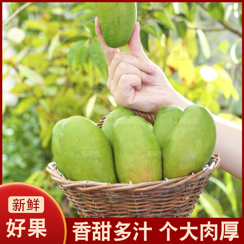 深底上的椰香芒