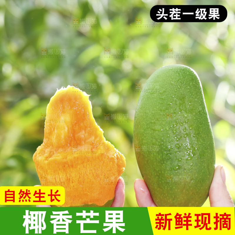 深底上的椰香芒