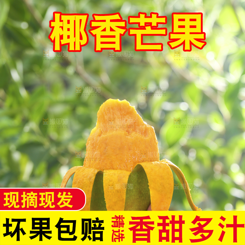 深底上的椰香芒