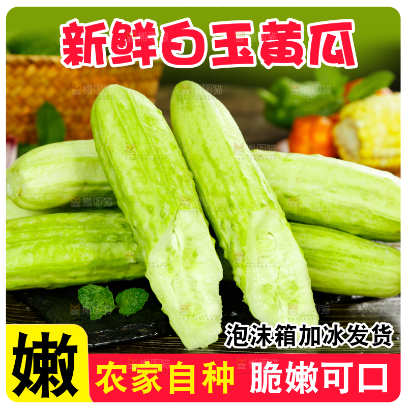 白玉黄瓜主图