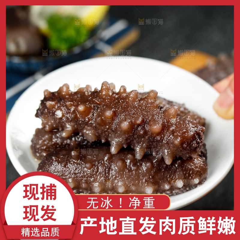 深底上的海参