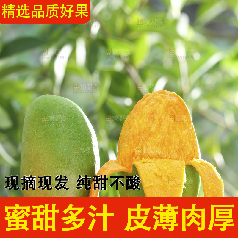 深底上的椰香芒
