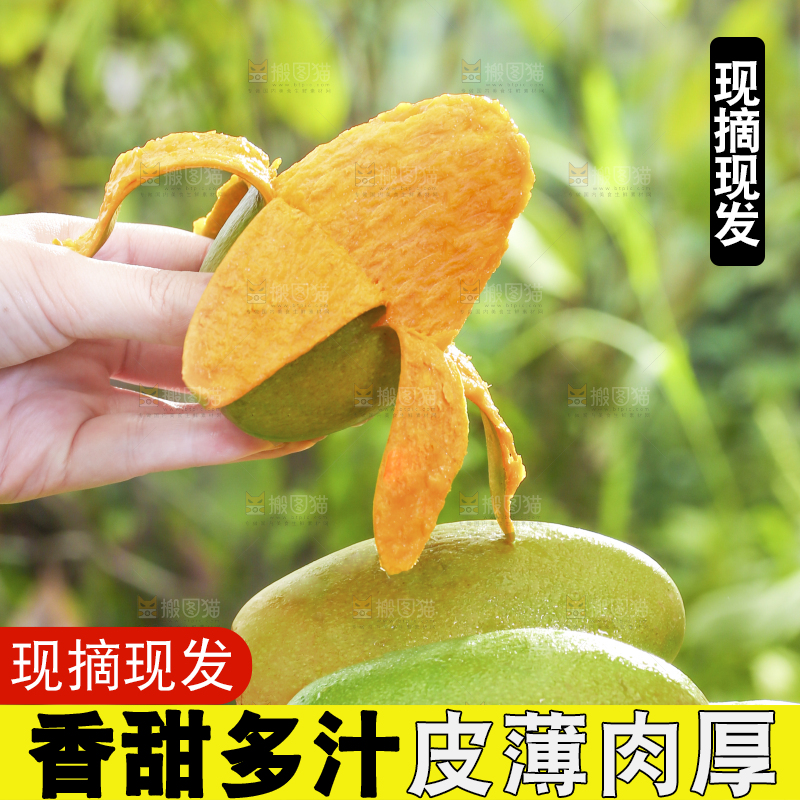 深底上的椰香芒