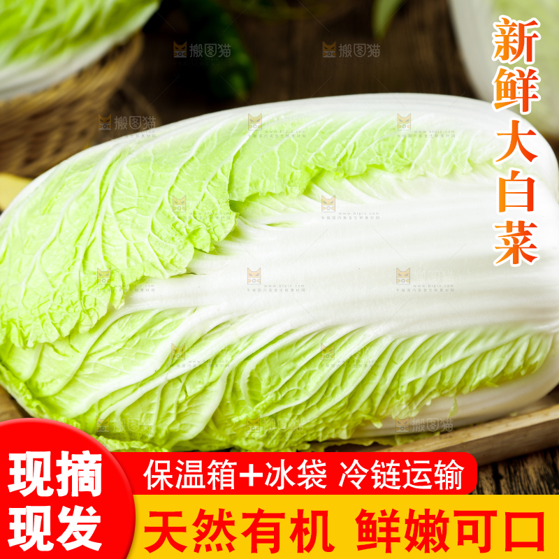 深底上的大白菜