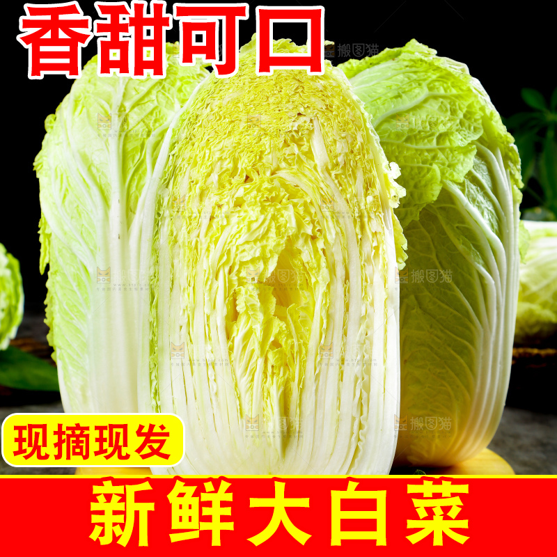 深底上的大白菜