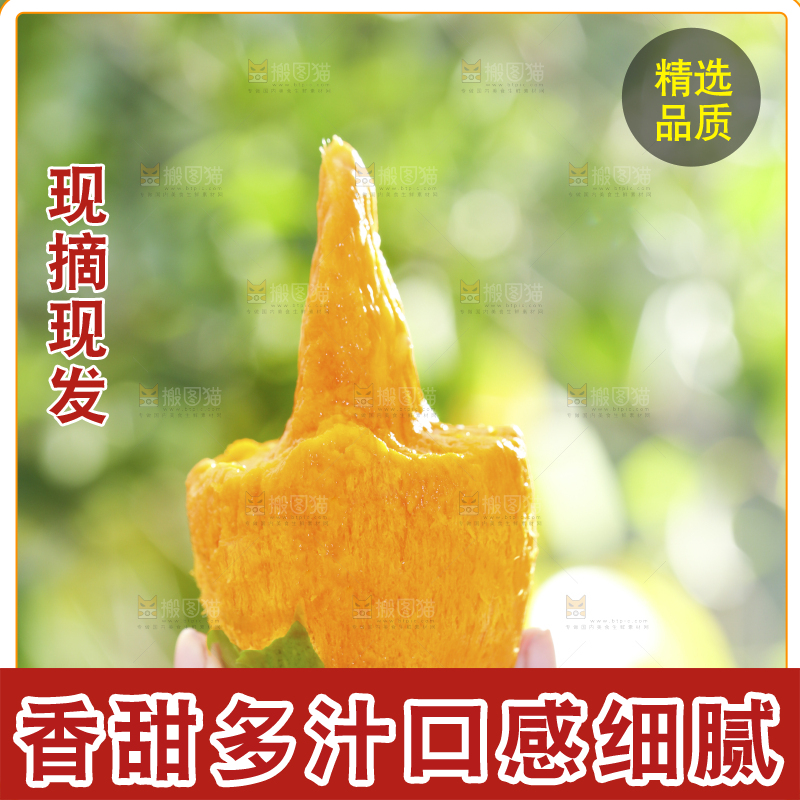 深底上的椰香芒