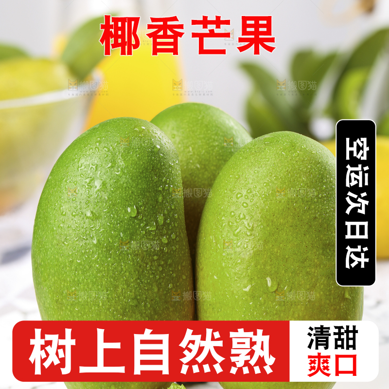 浅底上的椰香芒