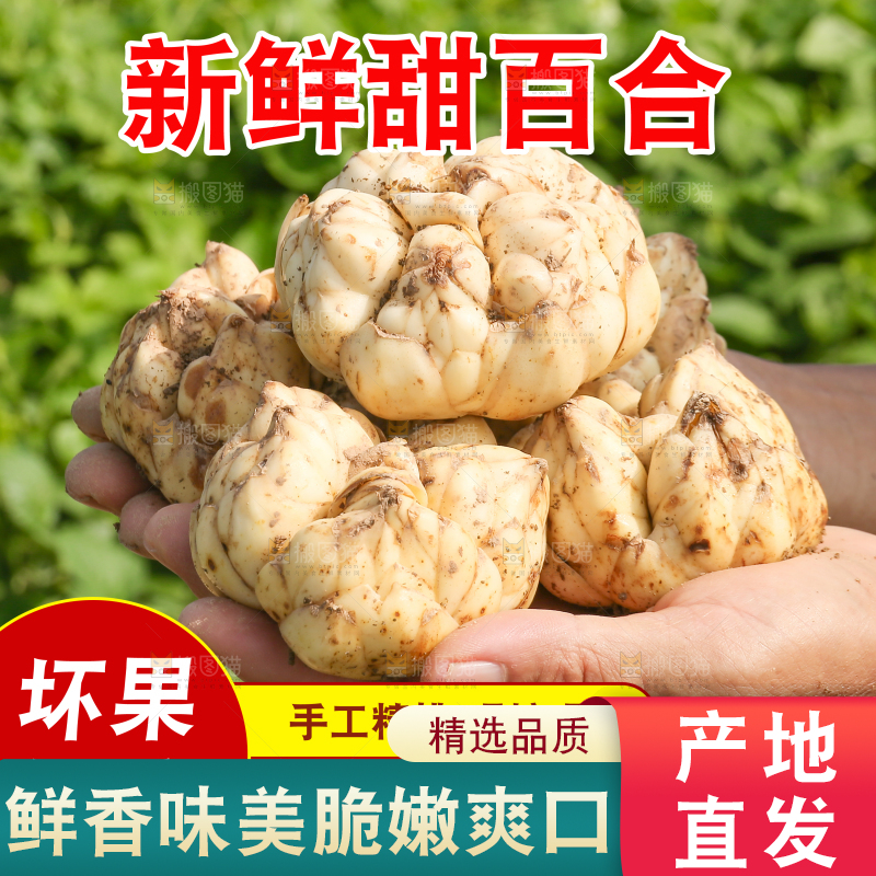 新鲜百合主图