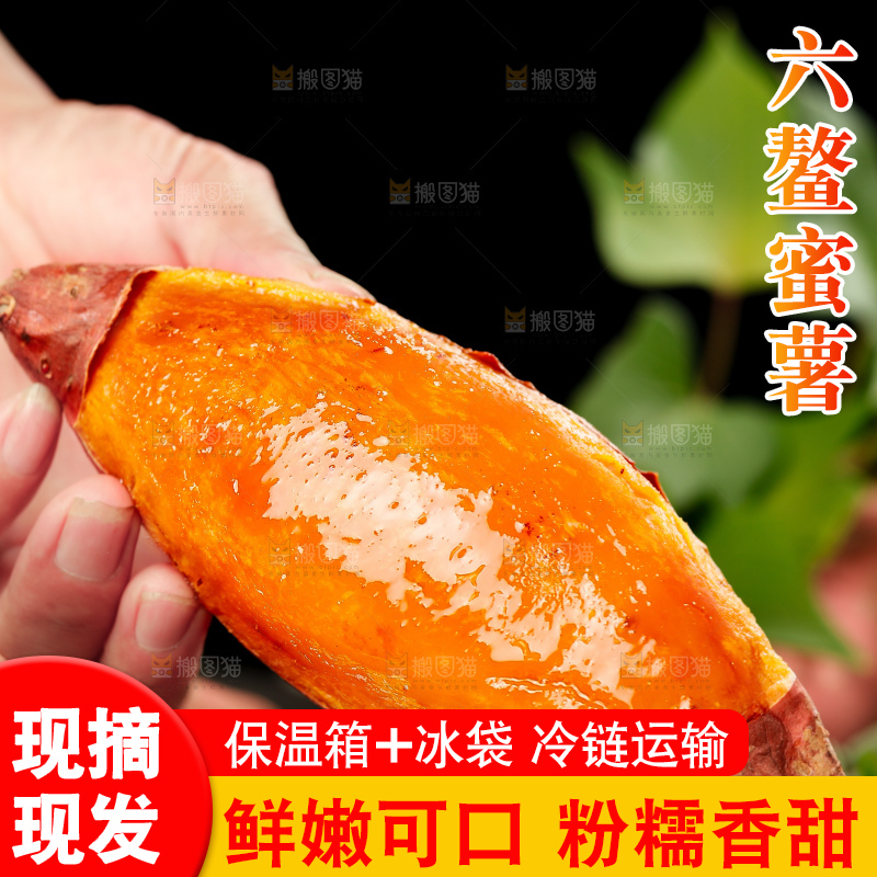 深底上的六鳌蜜薯