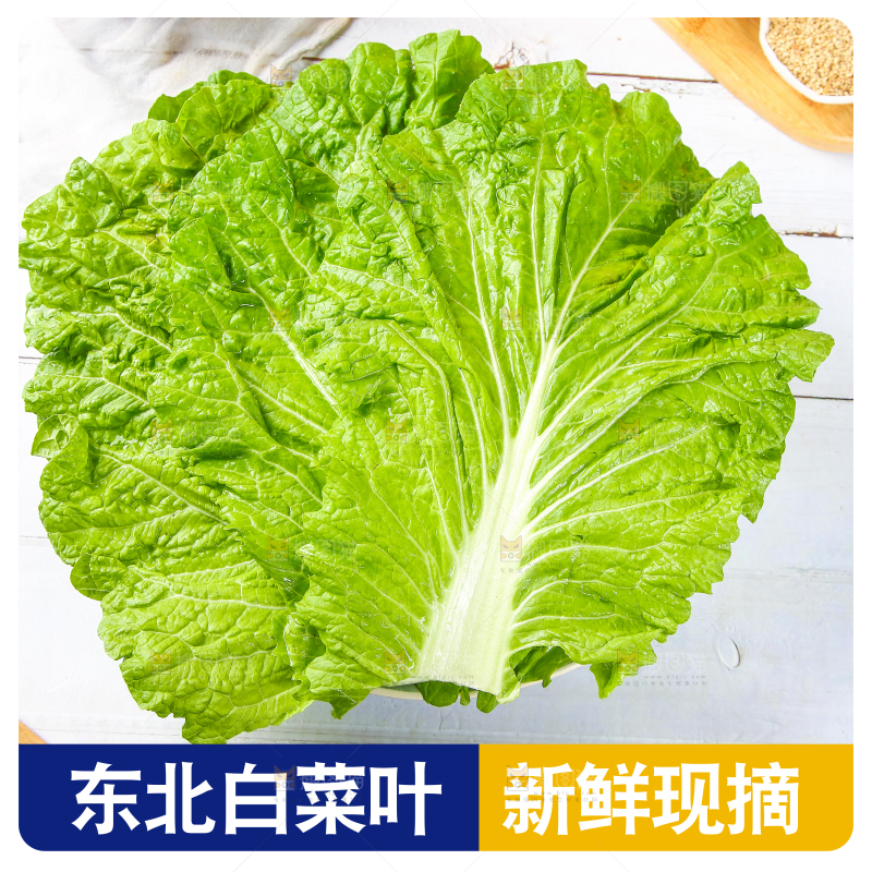 饭包叶主图