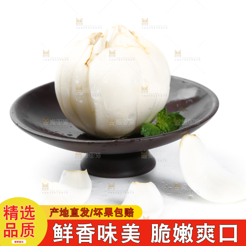 白底上的新鲜百合