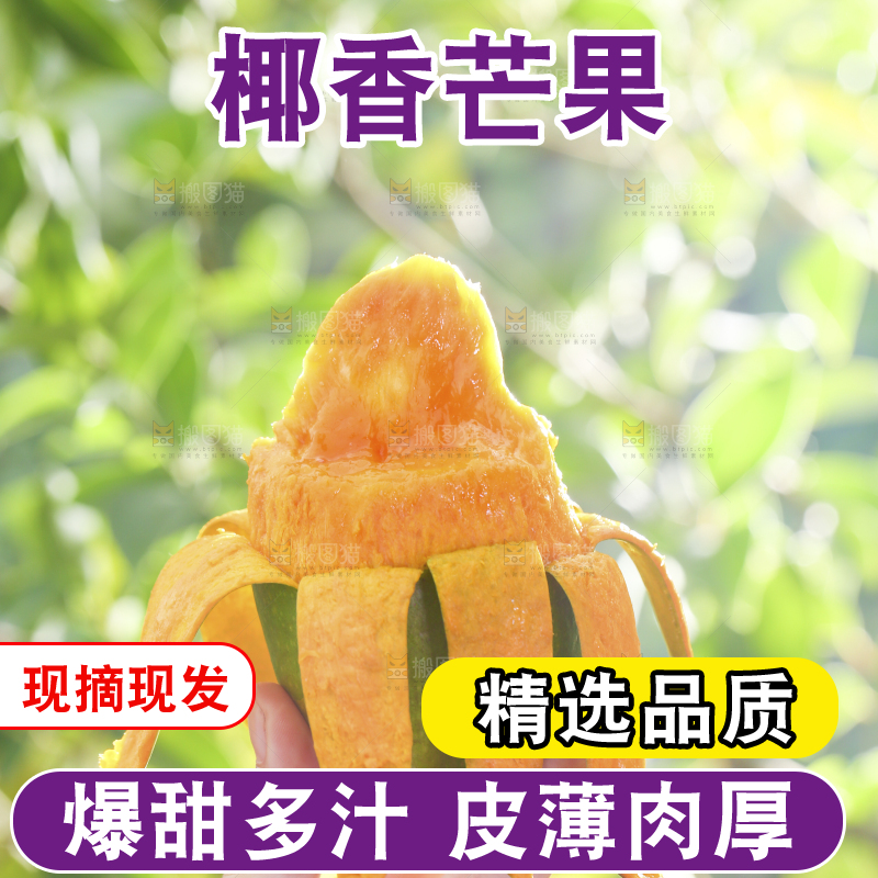深底上的椰香芒