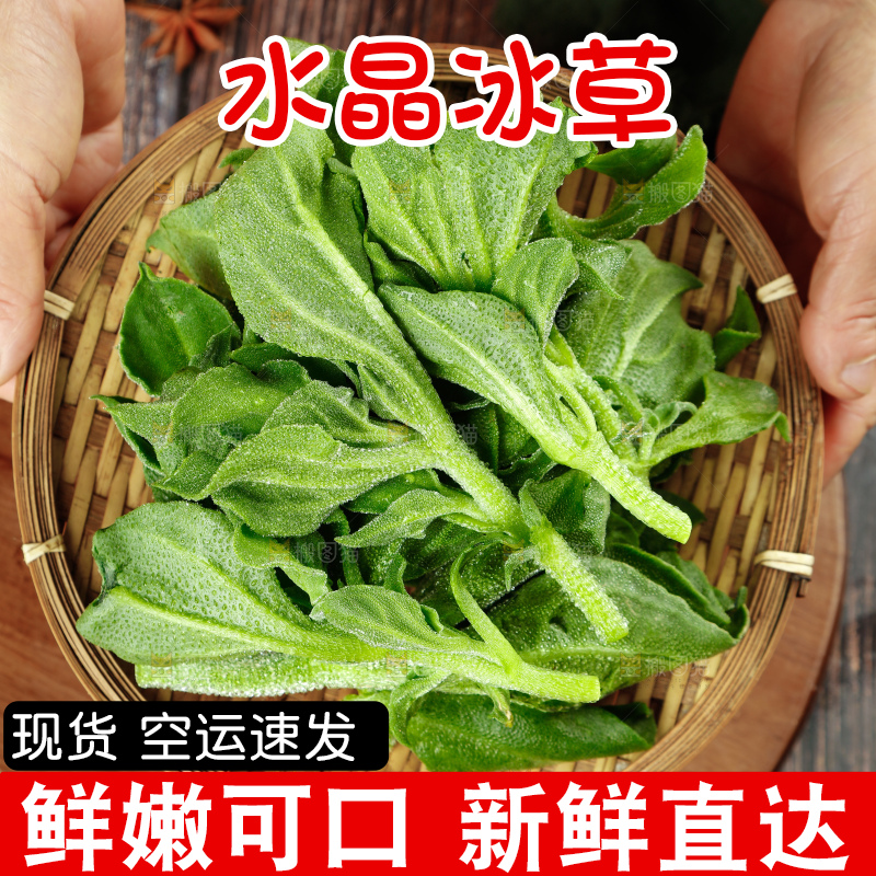 深底上的冰草