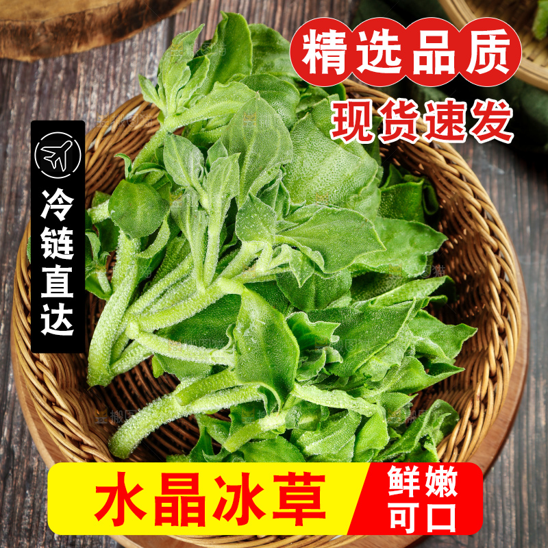 深底上的冰草