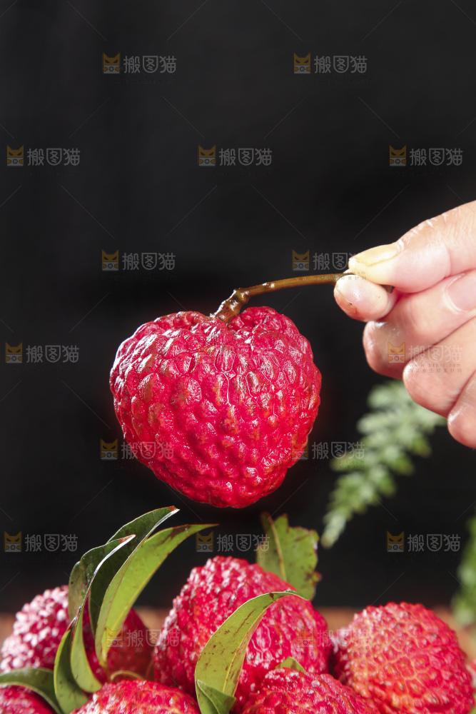 深底上的荔枝王