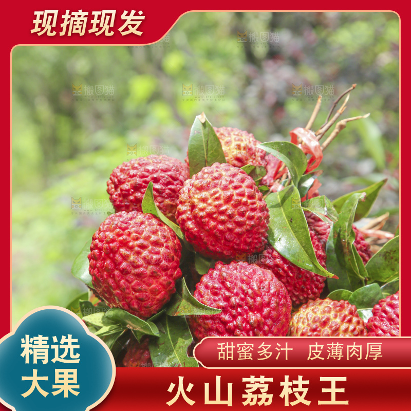 手里拿着荔枝王