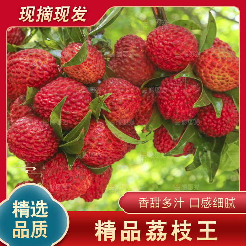 手里拿着荔枝王