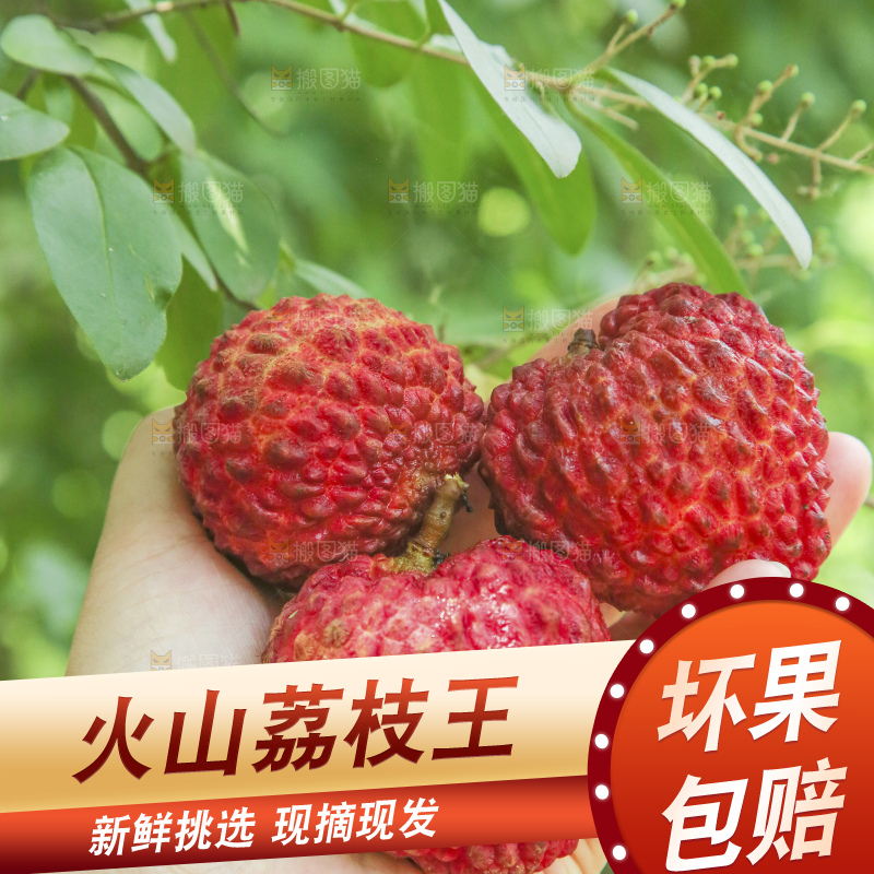 手里拿着荔枝王